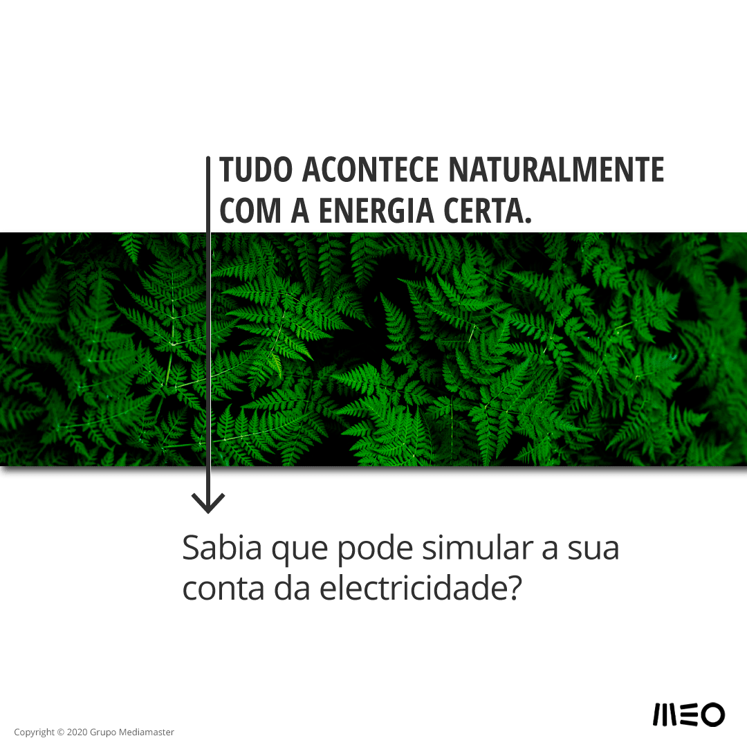 https://domainsforweb.com//public/uploads/Clientes_SocialMedia/Animatica/127554940_1529820027210931_5981480433439764132_n.png