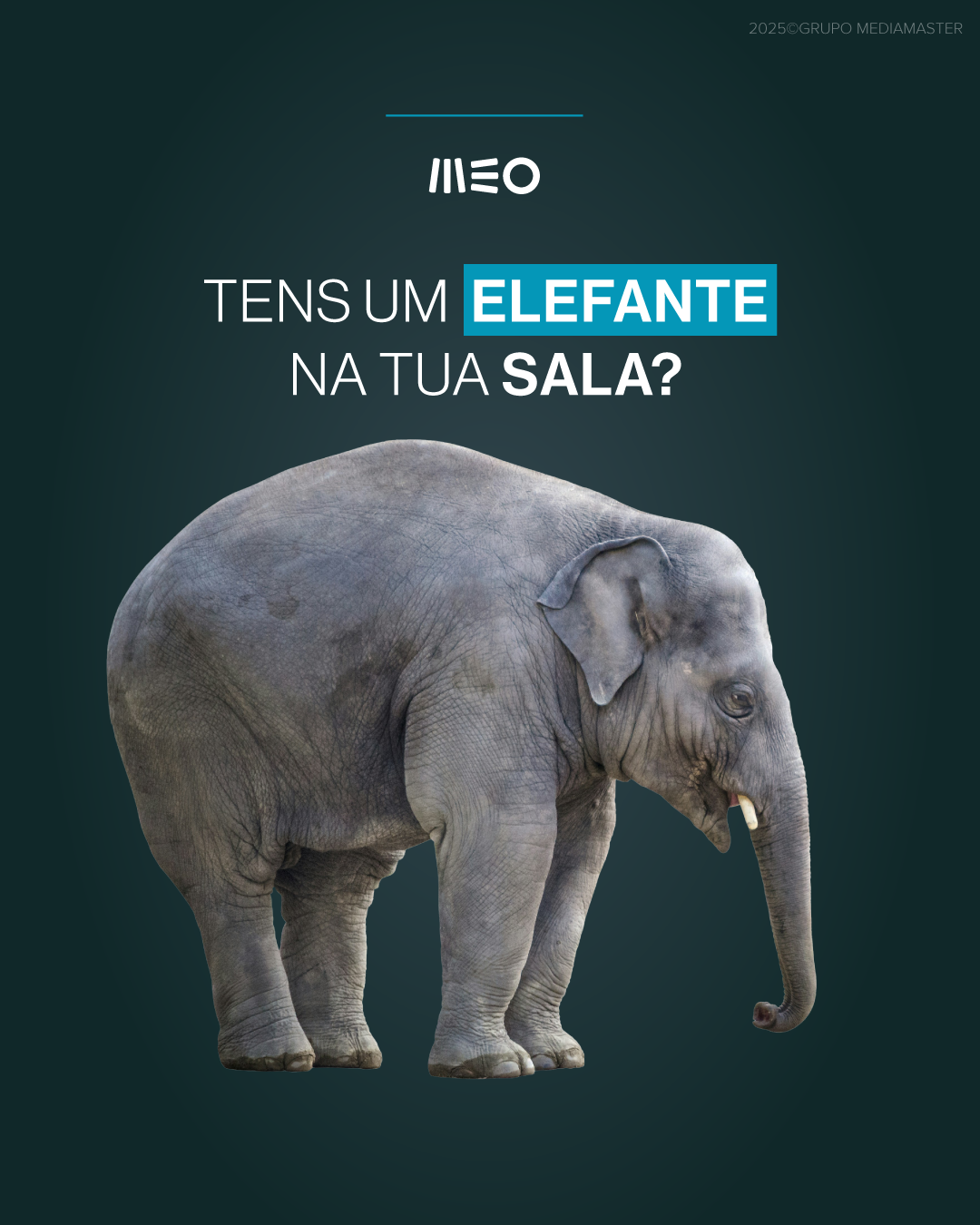 https://domainsforweb.com//public/uploads/Clientes_SocialMedia/Animatica/Recentes/Elefante.png