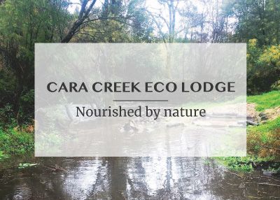 https://domainsforweb.com/public//uploads/Ecolodge/noticias_caracreek.jpg