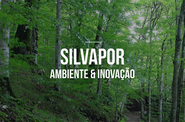 https://domainsforweb.com/public//uploads/noticias/Silvapor.jpg