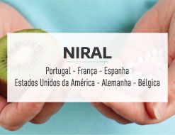 https://domainsforweb.com/public//uploads/projetos/niral/niral-noticias_1.jpg